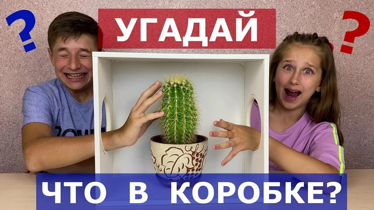 Челлендж в коробках
