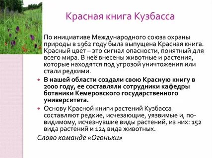 Животные красной книги кузбасса