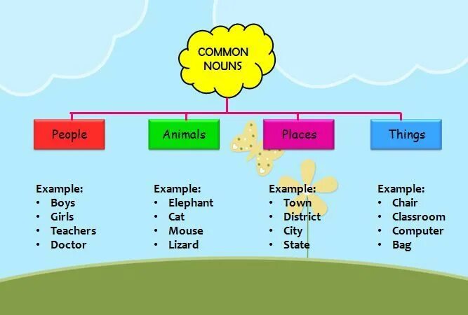 Common and different. Common Nouns. Noun примеры. Noun Noun примеры. Proper and common Nouns.