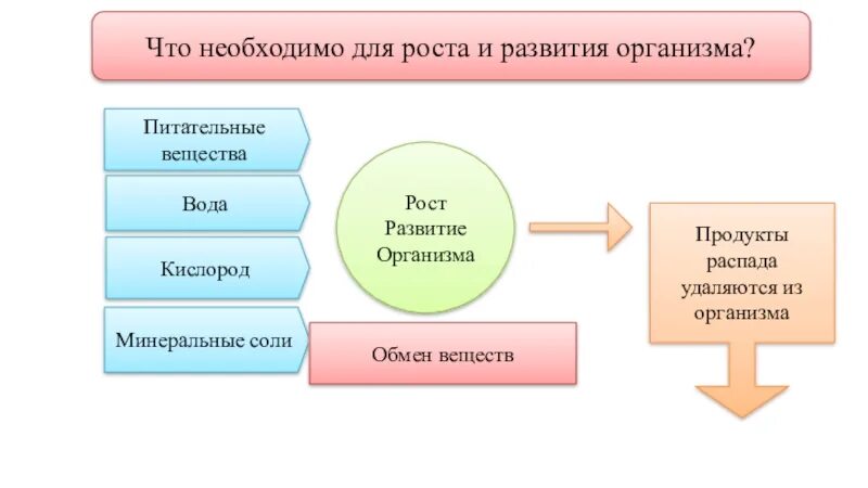 Какие условия необходимы для роста и развития человека. Что необходимо для роста и развития организма. Что необходимо для роста и развития человека. Продукты распада.