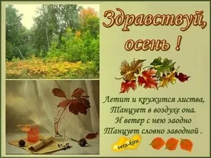 Стихотворение попрощаться с теплым летом