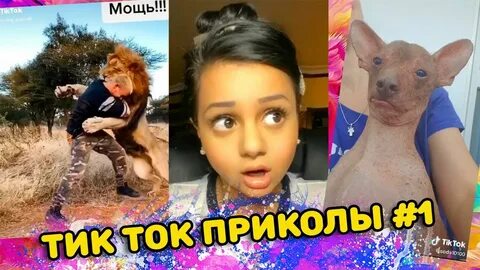 Свежие приколы тик ток