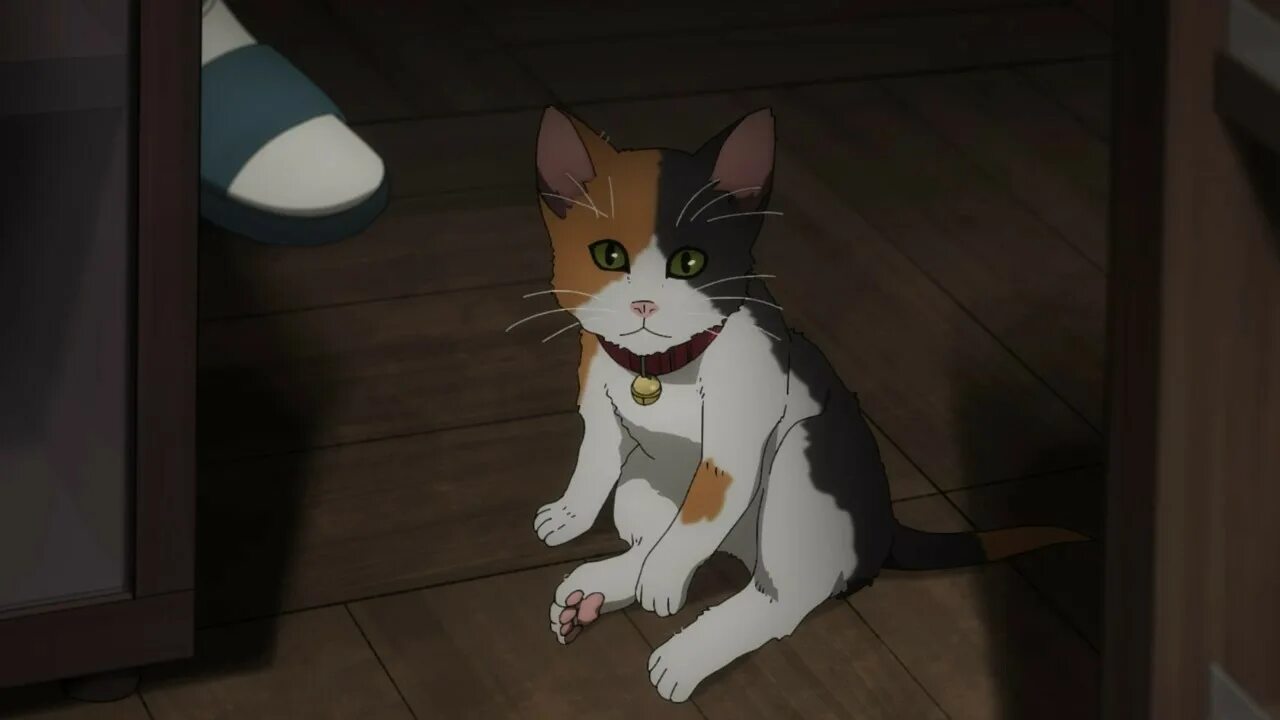 I don t have a cat. Кошка манга. doja cat кошка.