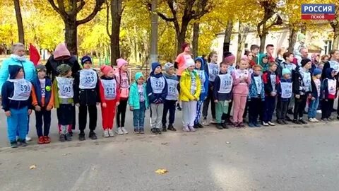 Псков сланцы