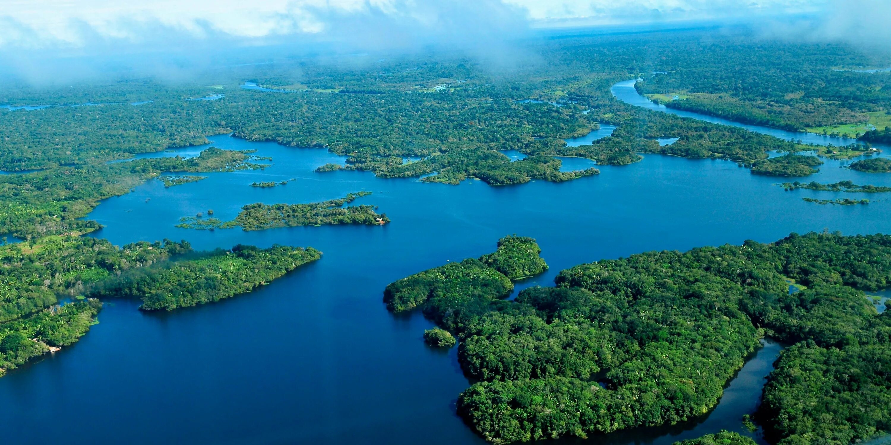 Реки страны бразилия. Река Амазонка в Бразилии. Бразилия крупные реки Амазонка. Река Амазонка в Колумбии. Амазонская Сельва Бразилии.