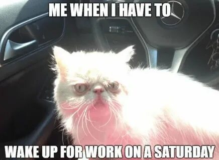 I am saturday