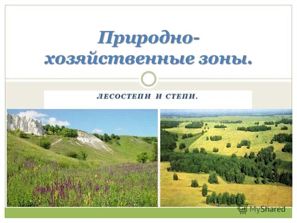 Природно хозяйственные зоны лесные зоны. Степи и лесостепи. Природно хозяйственные зоны. Природно хозяйственные зоны России. Степная и лесостепная зона.