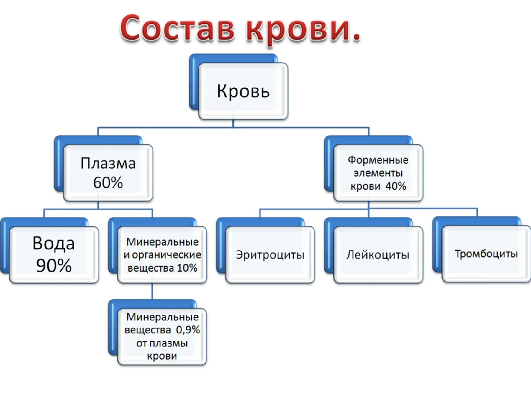 Элементы составляющие кровь. Схема состав крови форменные элементы. Схема состав крови плазма крови форменные элементы. Графологическая схема состав крови. Схема состав плазмы крови.