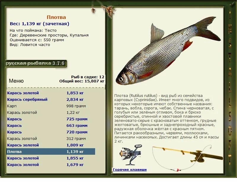 Русская рыбалка Деревенские просторы. Русская рыбалка рыбы. Русская рыбалка 3.6. Русская рыбалка 3.7.6 Деревенские просторы. Русская рыбалка на что ловится