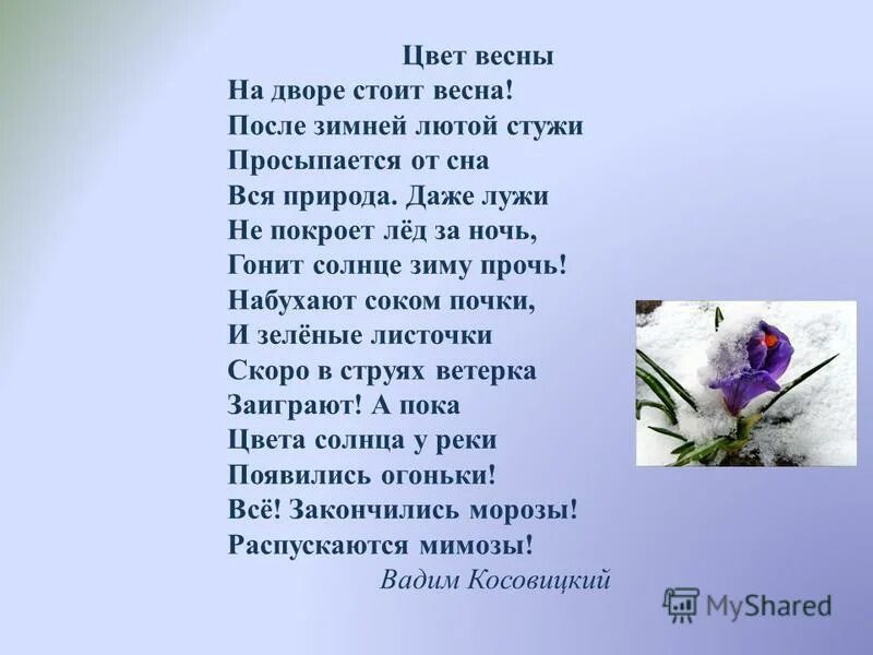 Солнце ярче засияло отступают холода автор. Просыпается земля после зимней стужи. Просыпайтесь после зимней стужи. Весной природа пробуждается от зимнего сна стих.