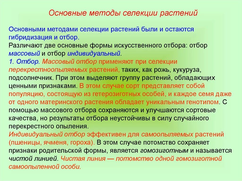 Гибридизация культур. Методы селекции растений. Методы изучения селекции растений. Основной метод селекции растений. Отбор и гибридизация.