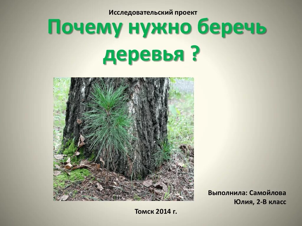 Почему деревья молодые. Берегите деревья. Зачем нужно беречь деревья. Почему нужны деревья. Почему надо беречь деревья.