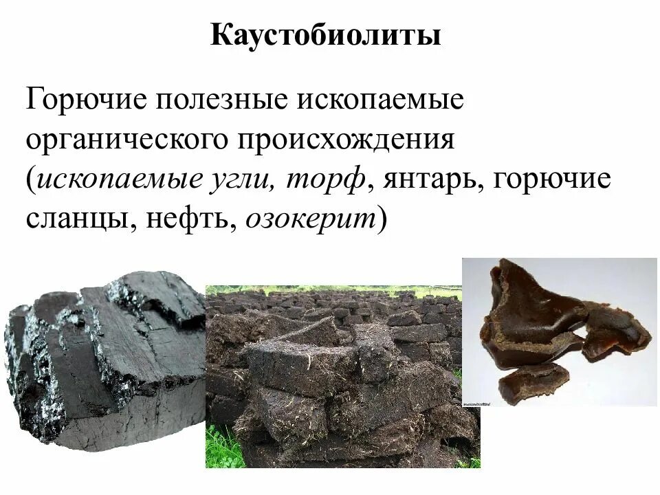 Горючие полезные ископаемые торф. Каустобиолиты горные породы. каустобиолиты осадочные породы. горючие сланцы каустобиолиты. каустобиолиты нефтяного ряда.