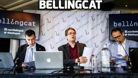 Billing cat