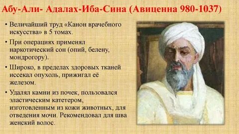 Авиценна казахская