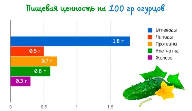 Пищевая ценность огурца на 100 грамм. Пищевая ценность огурца свежего на 100 грамм. Огурец питательные вещества в 100г. Огурец пищевая ценность в 100г. Бжу огурец свежий