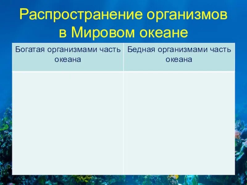 Распространение организмов в мировом океане. Распространение жизни в мировом океане. Распределение организмов в мировом океане.