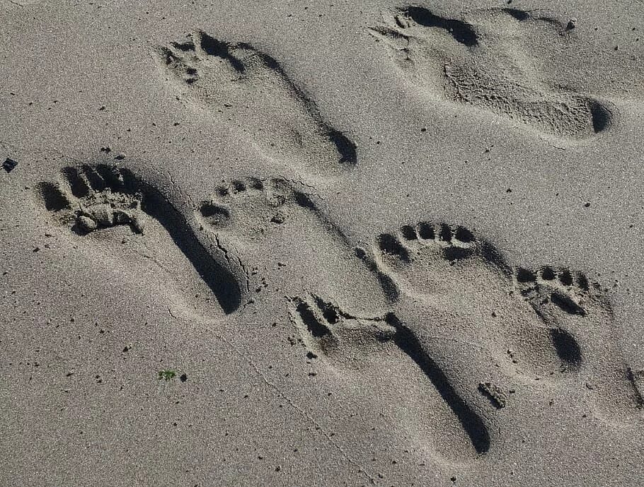 Там следы. Отпечаток стопы на песке. Следы. Следы ног на песке. Следы на мокром песке.