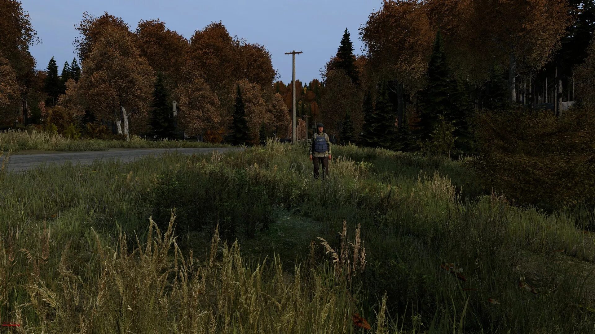 Dayz купить стим. Дейз игра. DAYZ картинки. DAYZ ключ. Вересник дейз.