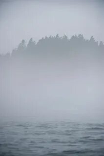 Пал туман на море синее