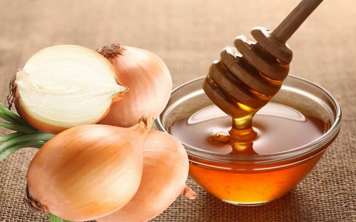 Польза лукового отвара для человека