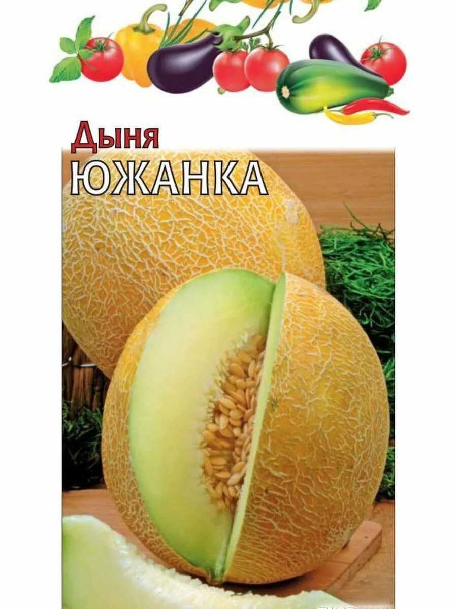 Дыни гавриш. Дыня южанка гавриш. гавриш дыня алтайская. семена дыни титовка. гавриш дыня колхозница.