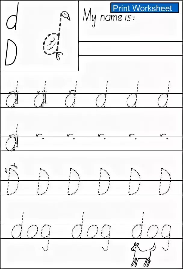 D write