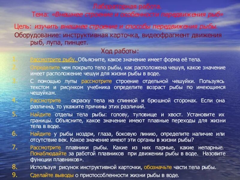 Лабораторная работа по внешнее строение рыб. Лабораторная работа внешнее строение и особенности передвижения рыб. Лаборатория работа внешнее строение и передвижение рыб. Особенности лабораторных работ. Передвижение рыб 7 класс биология лабораторная работа