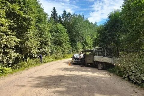 Новости тверская область на сегодня торопец