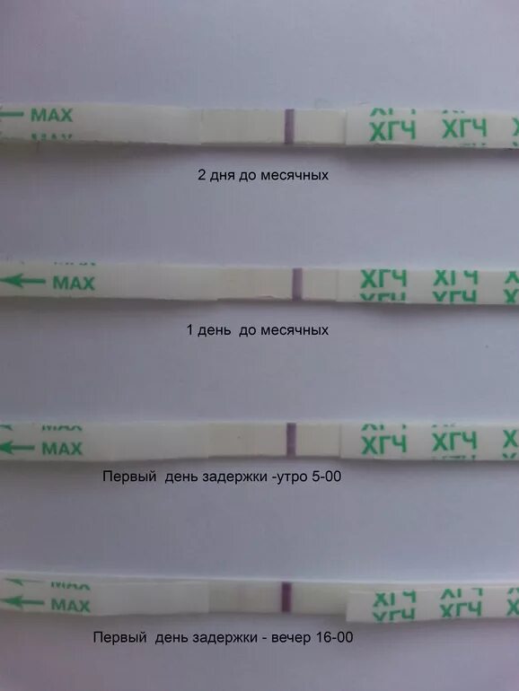 За сколько дней до месячных покажет беременность. Тесты на беременность за 3 дня до задержки месячных. Тесты за 2 дня до задержки месячных. Тест за день до месячных. Тест на беременность до месячных.