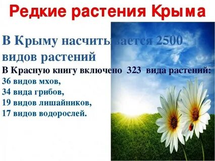 Растения крыма 2 класс