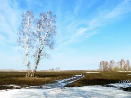 Весною снег в полях
