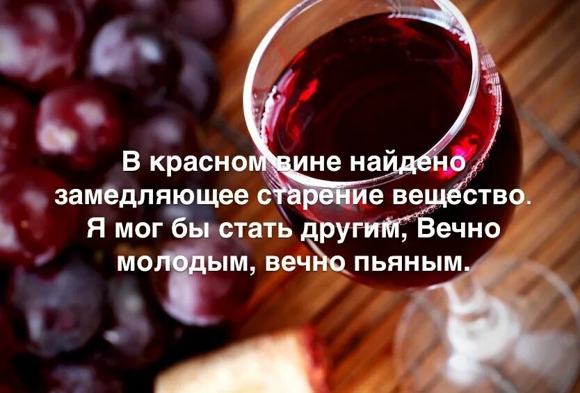 Польза красного полусладкого. Фразы про вино. Выражения про вино. Цитаты про вино. Высказывания про вино.