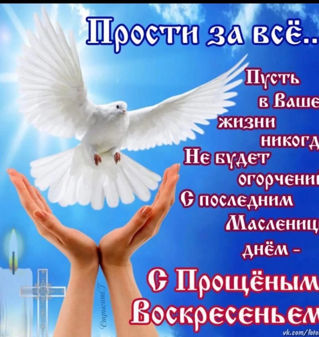 Проси пробачення