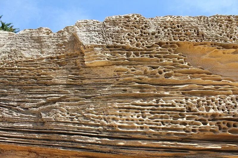 песчаник глинистый. ленточные глины центральнобассеновой фации. геологические обнажения аргиллитов. песчаник саблинский. осадочные камни.