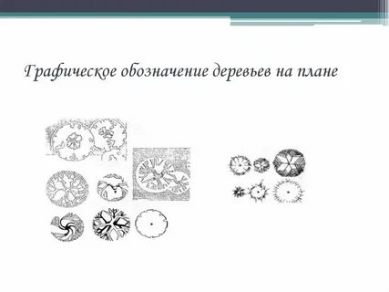 Обозначение деревьев
