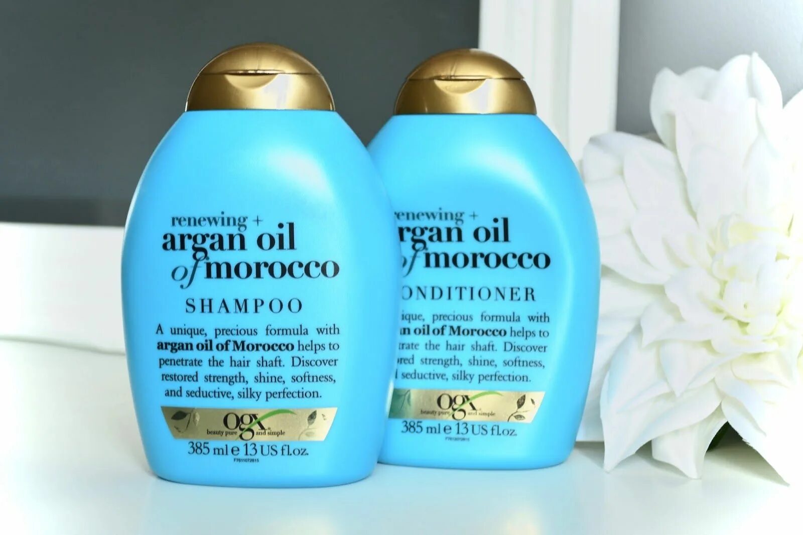 Ogx кондиционер. Шампунь OGX Argan Oil. Шампунь OGX Argan Oil of Morocco. Shampoo OGX шампунь "Argan Oil of Marocco Renewing+". OGX Moroccan Argan Oil.