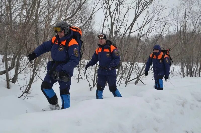 Поисково спасательная помощь. МЧС зимой в лесу. Спасатель МЧС. Спасатели МЧС В лесу.