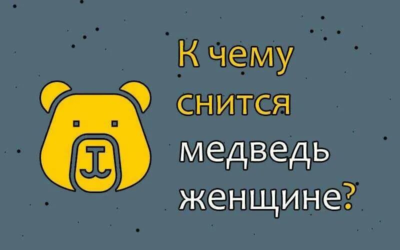Медведь нападает во сне к чему снится. Снится медведь женщине. сонник медведь к чему снится женщине. приснился медведь к чему. медведь во сне к чему снится женщине.