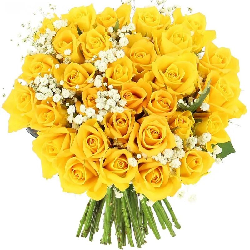Огромные желтые букеты. Желтые розы. Шикарный букет желтых роз. Бело желтый букет.