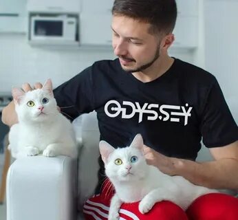 Cat sisters