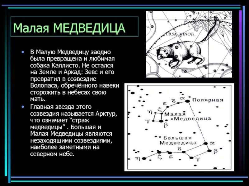 Созвездия медведицы рассказ. Созвездие весеннего неба малая Медведица. Сказка о Созвездие малой медведицы. Рассказ о созвездии малой медведицы. Сообщение о созвездии малой медведицы.