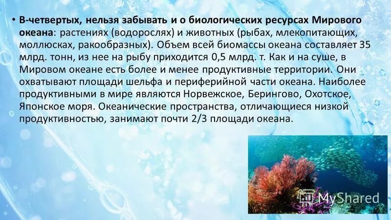 природные ресурсы японского моря. ресурсы японского моря. тихоокеанский голубой тунец. ресурсы японского моря кратко. основную массу растений мирового океана составляют.