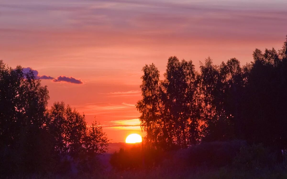 Вокруг виднеться. Закат в лесу. Рассвет солнца. Вечерний пейзаж. Летний закат.