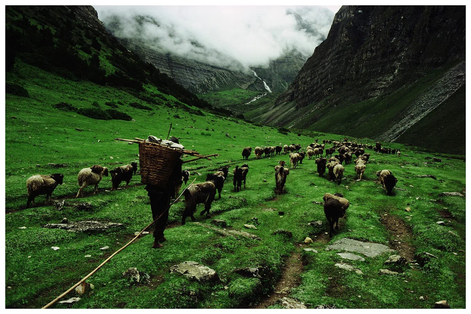Люди живущие в горах. Жизнь в горах Кавказа. Жизнь людей живущих в горах. Народы живущие в горах.