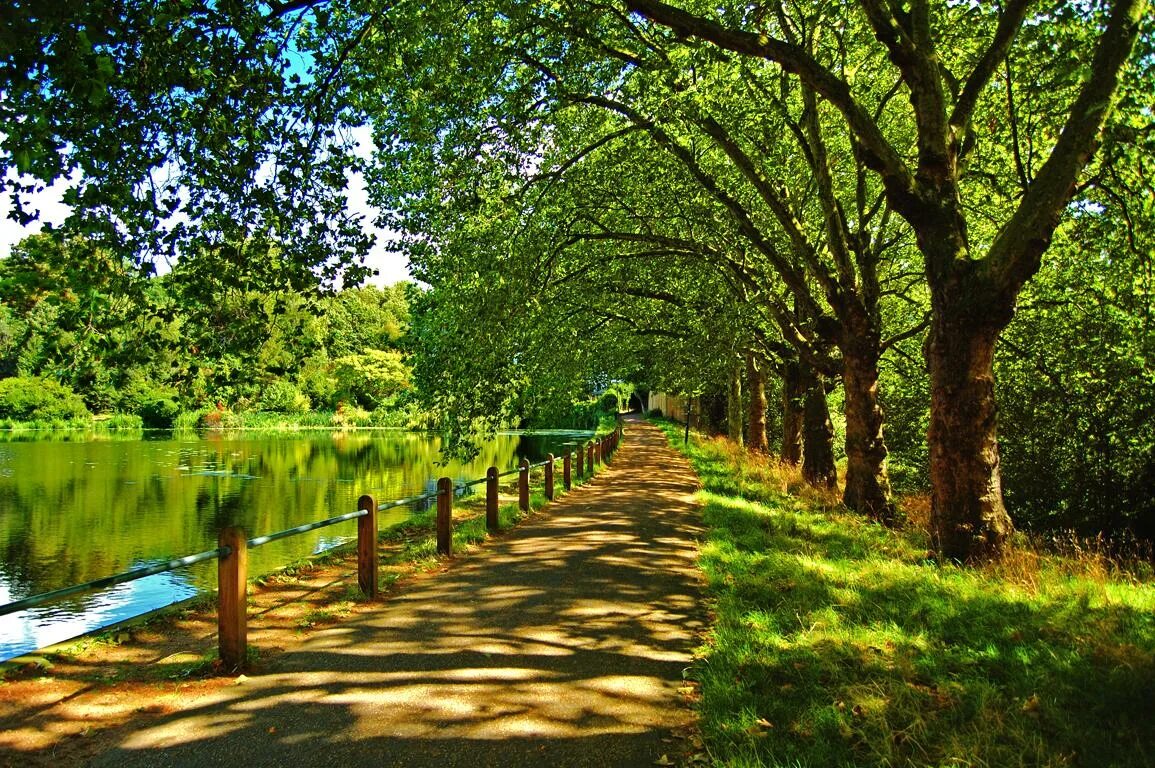 Лето в городе может быть. Солнечный летний день в городе. Нью йорк центральный парк большая лужайка. Ночной сквер санкт петербург. Лето в городе может быть.