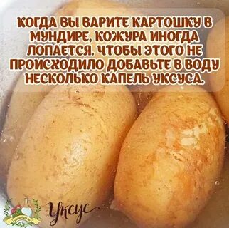 Срок хранения картошки в холодильнике