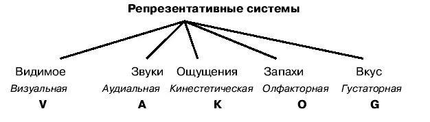 Репрезентативные системы восприятия. Репрезентативная система. Репрезентативные системы НЛП. Репрезентативные системы восприятия человека.