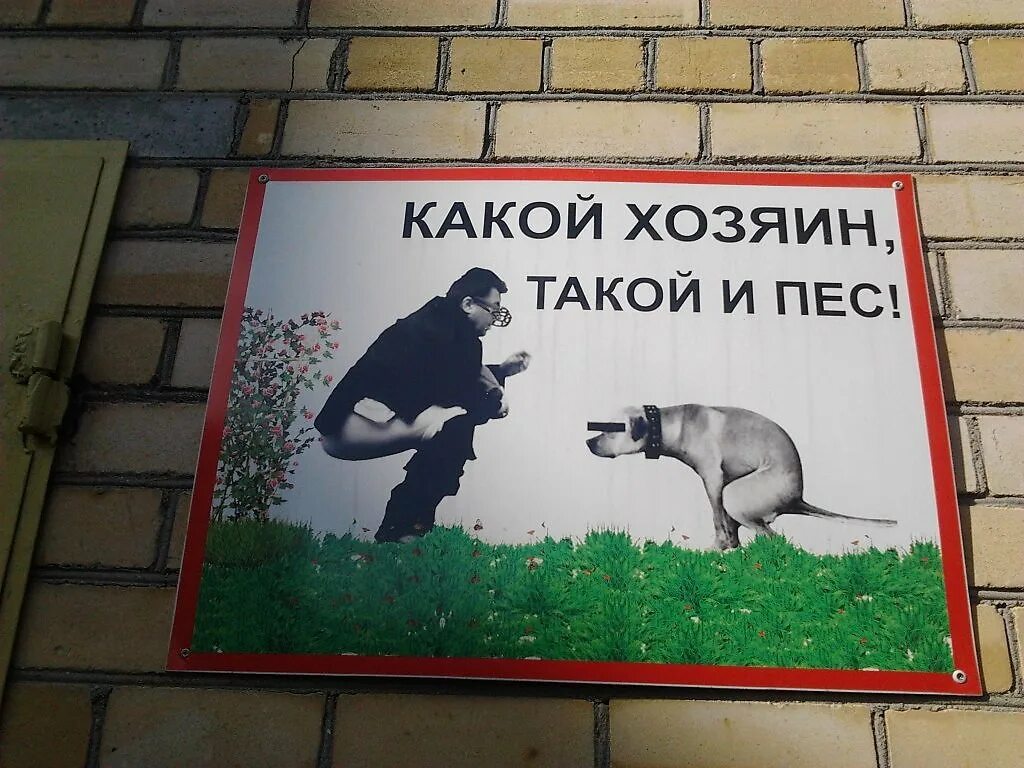 Убери рисунок. Таблички для собачников. Убирайте за собаками. Плакат убирайте за собаками. Сосед убери за собакой.