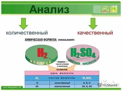 Количественный и качественный состав группы